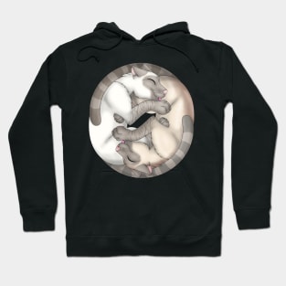 Yin-Yang Cats: Fawn Lynx Point Hoodie